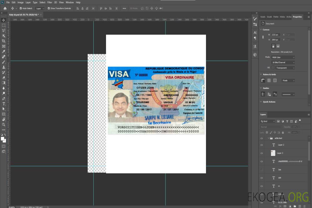 Visa touristique CONGO template